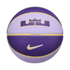 Nike Unisex All Court 2.0 8P L James